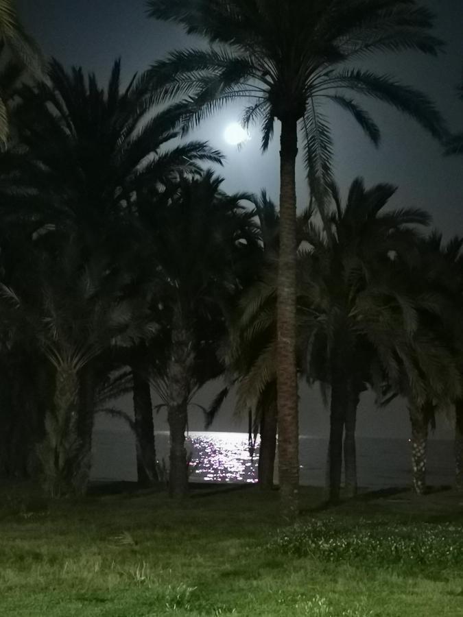 Lido Beachfront Torremolinos Extérieur photo